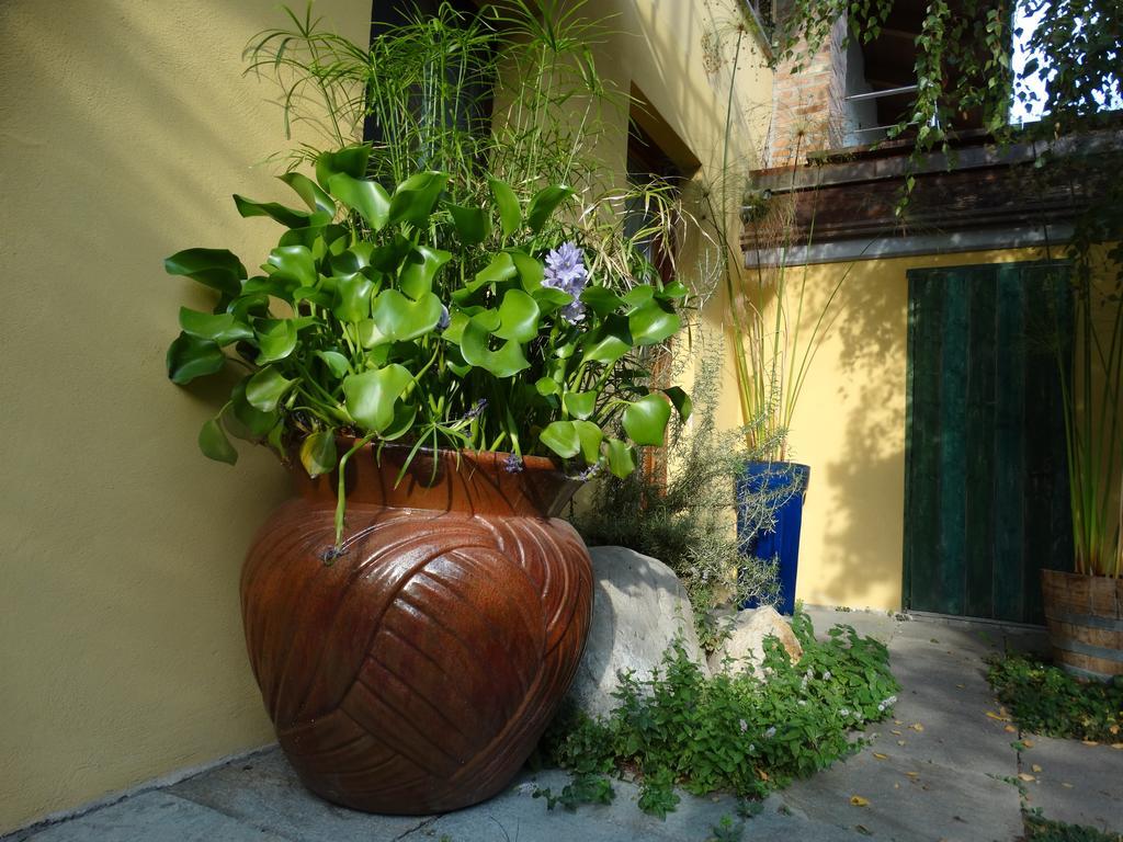 Farm stay Agriturismo Casa De Colores *